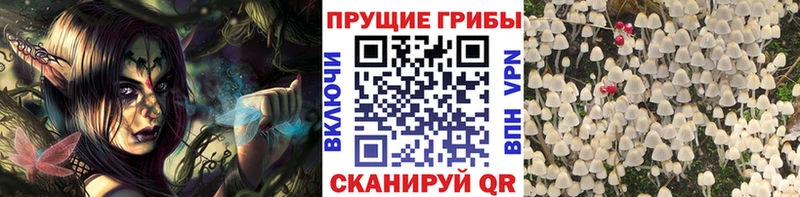 Галлюциногенные грибы GOLDEN TEACHER  Купить  Петров Вал 